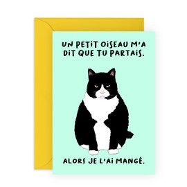 Central 23 Carte de départ pour femme - un petit oiseau m'a dit que tu partais - Carte d'adieu amusante pour homme - Motif chat - Nouvelle card de travail - Cadeau humoristique pour ami, colègue