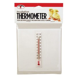 Little Giant Incubator Thermometer Kit Temperature Measure for Inside Incubator When Incubating Eggs (Item No. 6303)