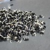 Organic Black Oil Sunflower Sprouting Seed 3 Lb ~ 33,600