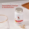 Carnium Botanicals Ashwagandha Extract KSM-66, 60 Capsules