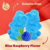 iLike! Sour Gummy Bears Candy, Gelatin-Free Blue Raspberry Teddies, 2-Pound