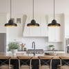 ALAISLYC 12 Inch Black Pendant Light Fixture,Farmhouse Hanging Lamp Adjustable