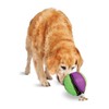 Petsafe Rip 'N Tug Lotus Dog Toy, Large