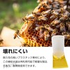 PAVIKE Bee Feeding Point, Beekeeping Equipment, Bee Drinking Water, Bee