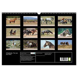 Wildpferde. Frei wie der Wind (Wandkalender 2026 DIN A3 quer), CALVENDO Monatskalender