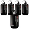 Paul Madison Homme Men's Cleanser Pheromone Scent, 510ml, 5 pcs / 폴메디슨 옴므 남성청결제 페로몬향, 510ml, 5개