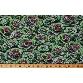 Paintbrush Studios Cotton Lettuce Kale Vegetables Kale Cotton Fabric Print by the Yard (D756.02)