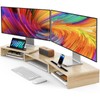 AMERIERGO Dual Monitor Stand Riser- 3 Shelf Screen Stand with