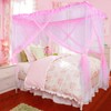 South to East Pink Canopy Bed Curtains