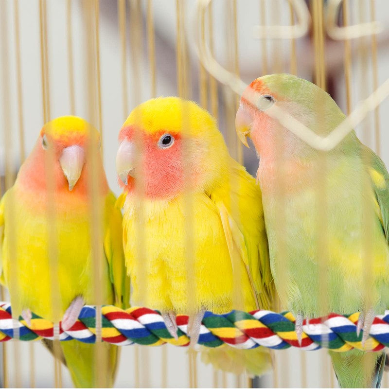 Bird Perch- Cage Rope for Parrot/Parakeet/Cockatiel Bungee Toy Comfy Colorful