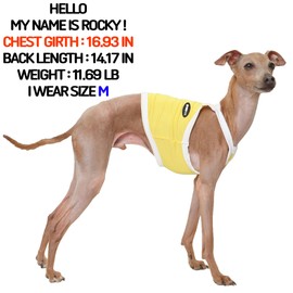 D Doggy Star Italian Greyhound Clothes Summer Cooling String Sleeveless Crop Top T Shirt Whippet for Dog (S,Camisole Yellow)