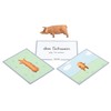 Betzold - Assigning Animals - Order Game Basic School