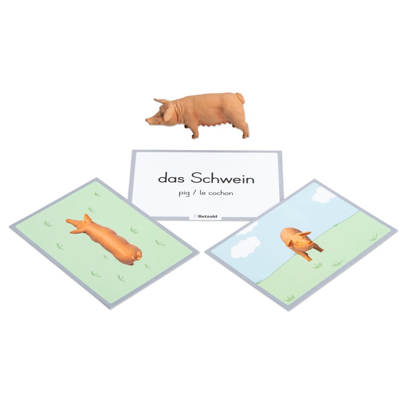 Betzold - Assigning Animals - Order Game Basic School