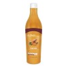Curcuma Concentrado Con Pulpa De Fruta, 400 Ml Shelo Nabel.