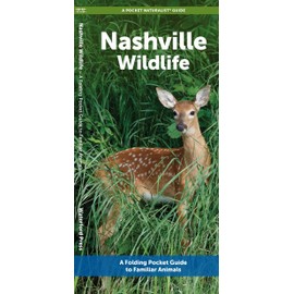 Nashville Wildlife: A Folding Pocket Guide to Familiar Animals (A Pocket Naturalist Guide)