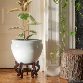 Red Lantern 12" White Porcelain Fishbowl Planter or Cachepot for Indoor/Outdoor Use in Garden Entryway Living Room Boho Eclectic Modern Contemporary Classic Traditional Style Decor