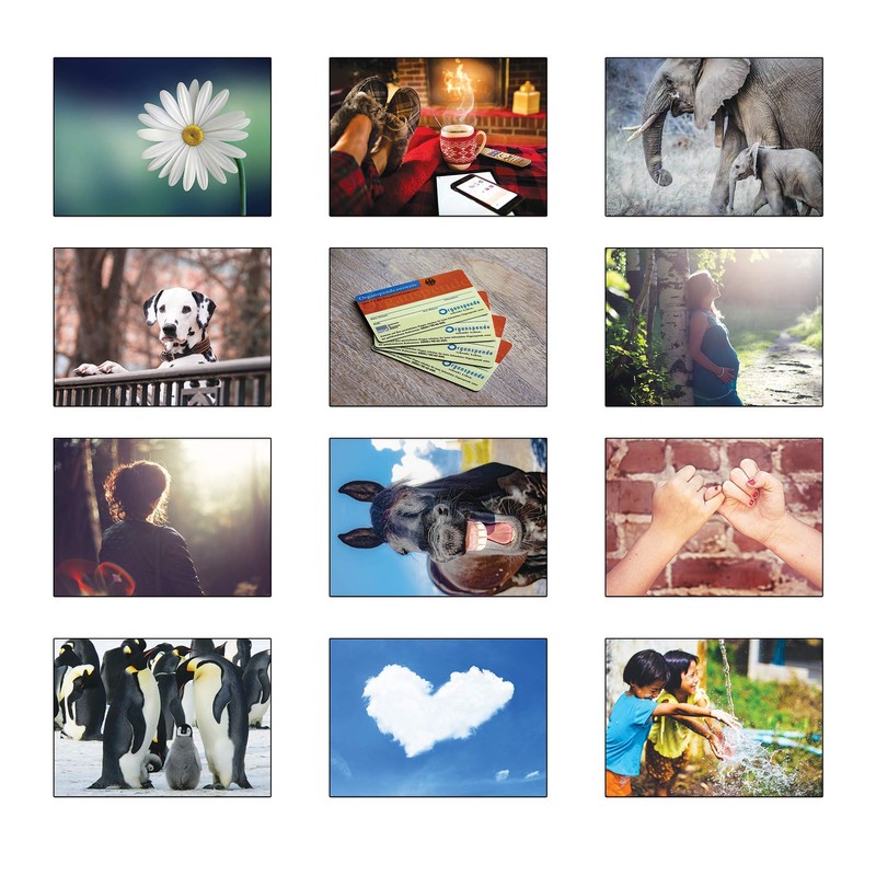 52 Mindfulness Conversation Questions and Images for Coaching Cards, Group