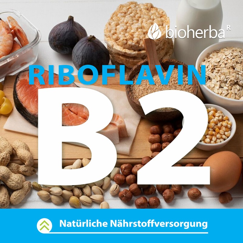 Hyaluronic Acid, BIOH Erba, 60 Caps 50 mg