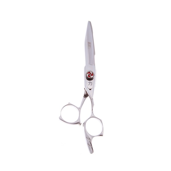 ShearsDirect Professional Dry and Slide Cutting Shear, 5.5 Inch, 2.1 Ounce