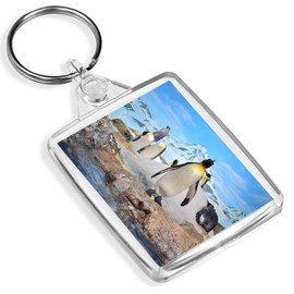 Majestic Emperor Penguin Keyring - IP02 - Antarctica Snow Birds 14329