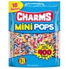 Charms Mini Pops - 4.5 lb Bag of Individually Wrapped