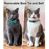 Joytale Upgraded Cat Collar with Bells, Breakaway Cat Collars with