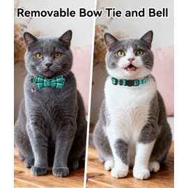 Joytale Upgraded Cat Collar with Bells, Breakaway Cat Collars with Bow Tie, 1 Pack Girl Boy Safety Plaid Kitten Collars, Teal