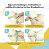 Wisedog No Pull Dog Harness - Adjustable Webbing Dog Halter