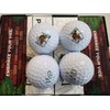 Vice Golf Pro Go Nutz Golf Balls PGA Championship Rochester