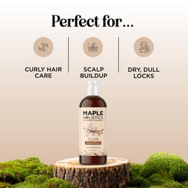 Moisturizing Shampoo for Dry Hair Care - Silk18 Advanced Anti Frizz Ultra Hydrating Shampoo for Color Treated Hair with Silk Amino Acids and Plant Proteins - Sulfate Free Shampoo for Men and Women