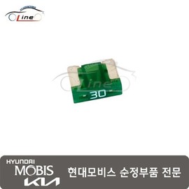 Hyundai Mobis Latest Model Mini Fuse (30A) 18790 01112 / 최신형 미니퓨즈(30A) 18790 01112