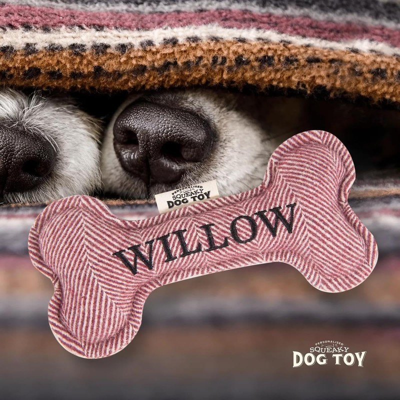 History & Heraldry Squeaky Dog Toy (Willow)
