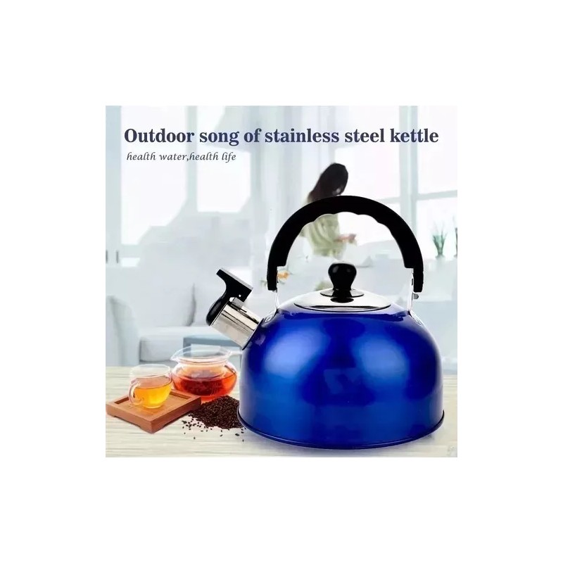 Kettle Tetera Silbadora Hervidor De Agua Cocina