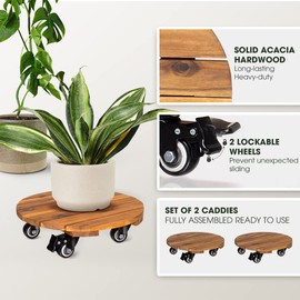 Idzo 2pack 12inches Wood Plant Caddy with Wheels Heavy Duty, 264 Lbs Capacity, Acacia Hardwood Plant Dolly, Plant Stand with 360° Lockable Wheels for Plant Pots, Heavy Objects Hauling - Natural Wood