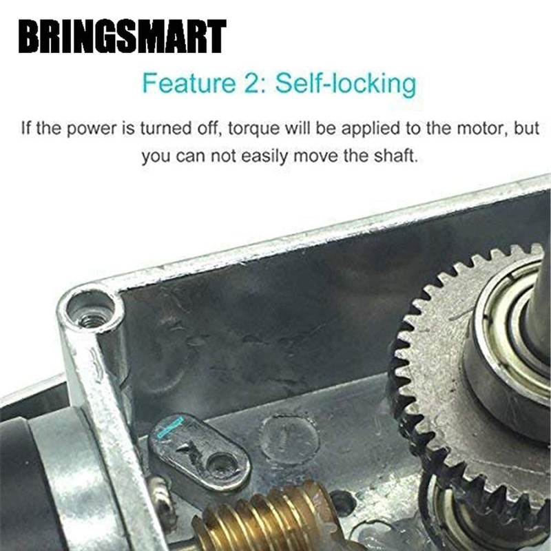 BRINGSMART 24V 5rpm DC Worm Gear Motor 70kg.cm Self-Locking Reversed