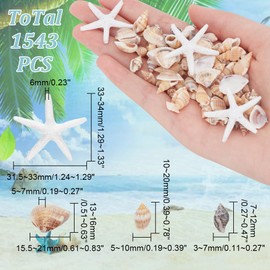 arricraft About 1543 Pcs Tiny Shells Resin Starfish, 4 Styles Resin Sea Star Mini Spiral Conch Shells Ocean Theme Vase Filler Decoration for Craft DIY