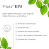 Sanopoly Priosa uro I 90 Multivitamin Kapseln I Nahrungsergänzungsmittel für