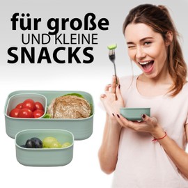Hausfelder Brotdosen Lunchbox-Set, 1x900ml + 2x280ml, Brotdose mit Fächern für Kinder und Erwachsene, einsetzbar als Butterbrotdose, Brotzeitbox (MintGreen, 1 x 900ml, 2 x 280ml)