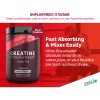 Zeal Creatine Monohydrate Micronizado Sin Sabor 5000 Mg