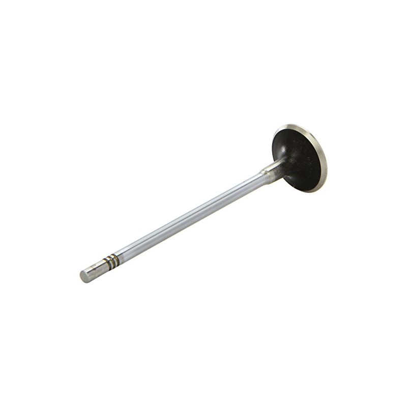 AE V98025 Outlet Valve