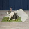 Art Angels Pop Out Pets Rabbit Greeting Card