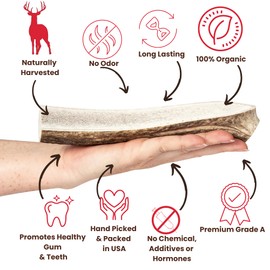 Best Chews Split Antlers for Dogs - Premium USA Sourced Elk Antlers for Dogs - Dog Antler Chews - Durable Dog Antlers for Aggressive Chewers - Split Elk Antlers for Dogs for Oral Health