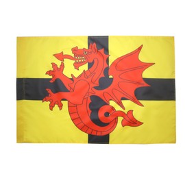 AZ FLAG Province of Trégor Flag 3' x 5' for a pole - Tregor - Brittany flags 90 x 150 cm - Banner 3x5 ft with hole