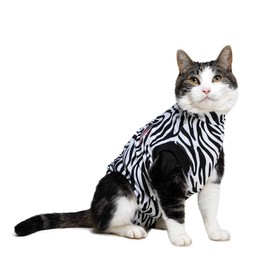 Medical Pet Shirt Cat Zebra Print - S