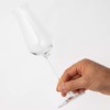 Champagne Glasses dezaia- Glasses Dishwasher Safe 240ml RN – 13254cs