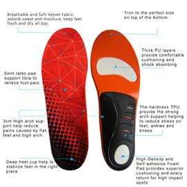 Aureolek Sport Shoes Insoles for Adults Orthotic Shoe Inserts for Men Women, Women 10-11.5 / Men 8-9.5