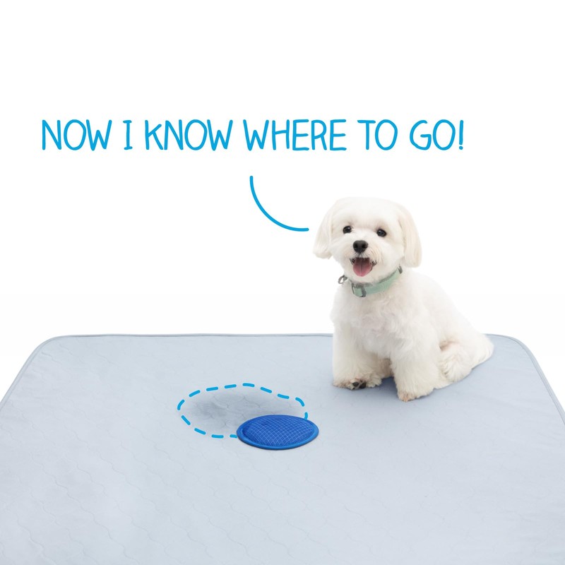 2ct Paw Inspired Speed Spot Go Here Potty Training Puppy