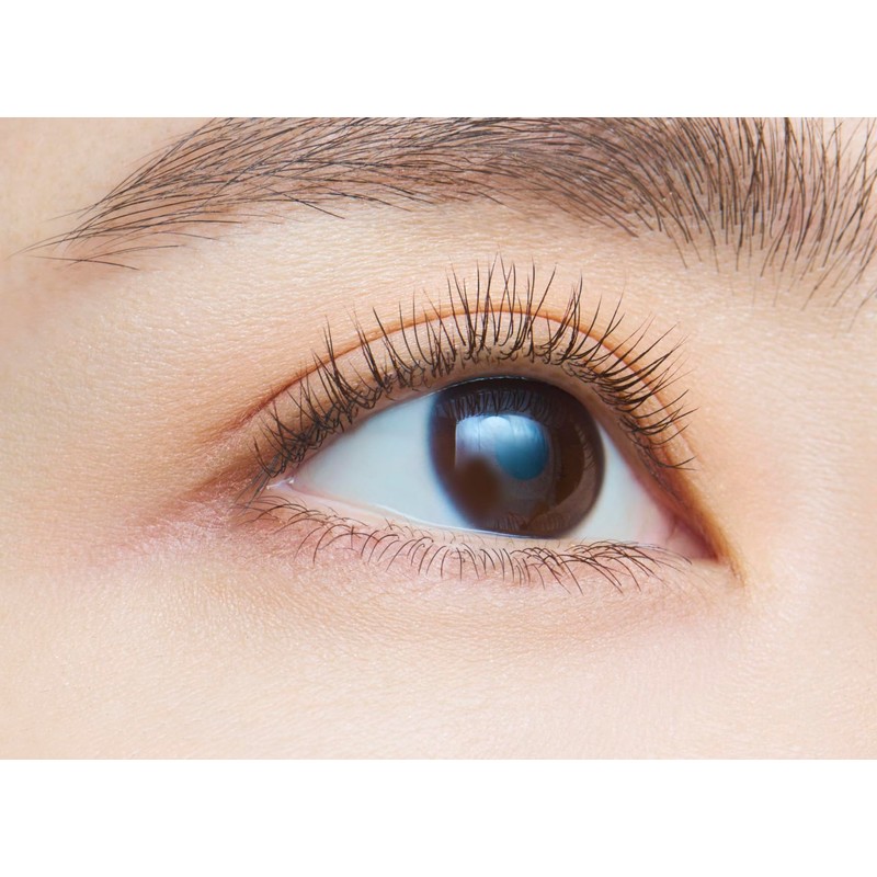 dejavu Applying False Eyelashes, Self Eyelash Raising Type, Lash Up,