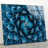 Myphotostation Blue Agave Wall Art Tempered Glass Wall Art 20x20''