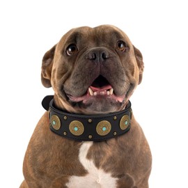 Leather Dog Collars for Small Dogs - Heavy Duty Adjustable, Durable PU Leather Collar for Small, Medium, Large, and Extra Large Dogs - Comfortable Fit with Quick-Release Metal Buckle Black S